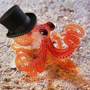 Meet your Posher, Tonya